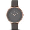 skagen-skw2216.jpg