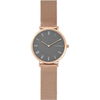 skagen-skw2675.jpg