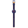 zfpnp043-2.png
