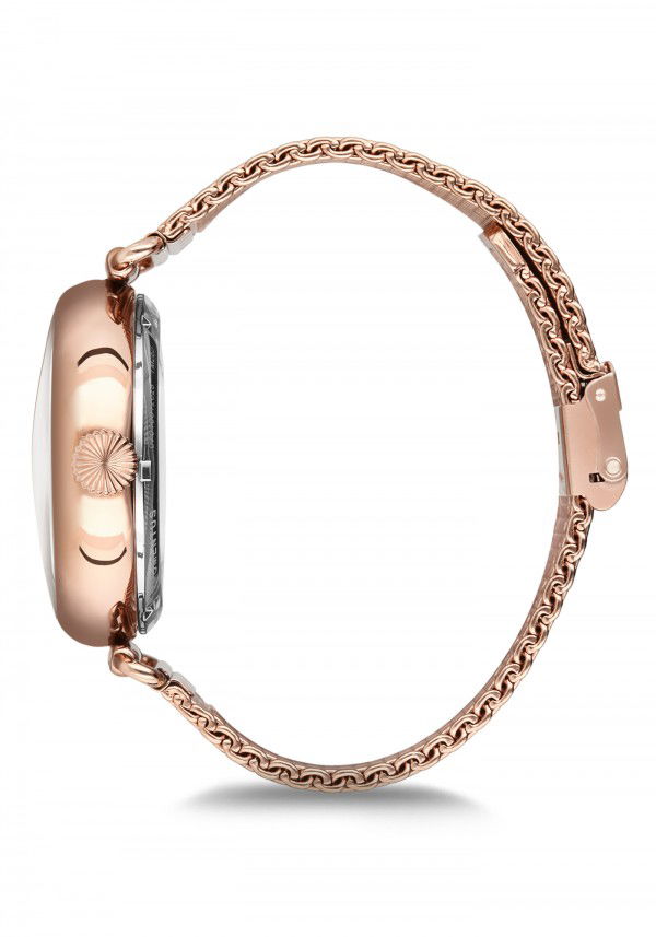 Momentus TM253R-02SR Erkek Kol Saati