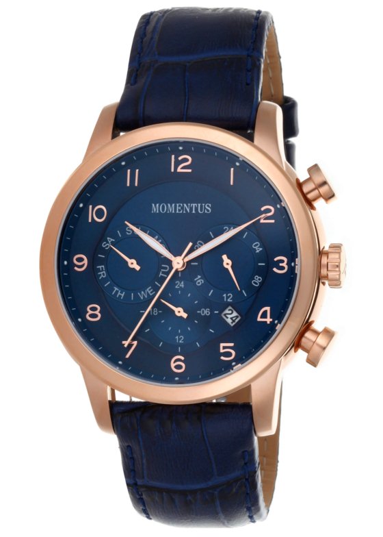 Momentus FD252R-11NR Erkek Kol Saati
