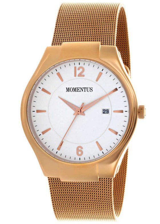 Momentus FD286R-02SR Erkek Kol Saati