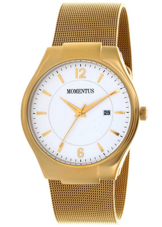 Momentus FD286G-02SG Erkek Kol Saati