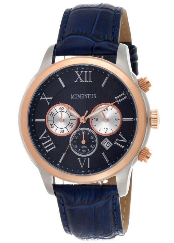 Momentus FD246S-11NR Erkek Kol Saati