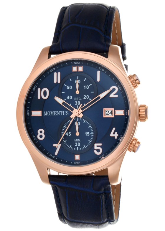 Momentus FD253R-11NR Erkek Kol Saati