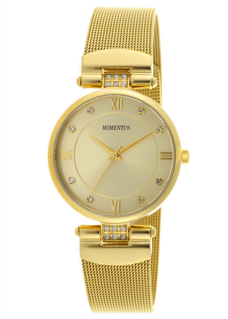 Momentus DW137G-07SG Bayan Kol Saati