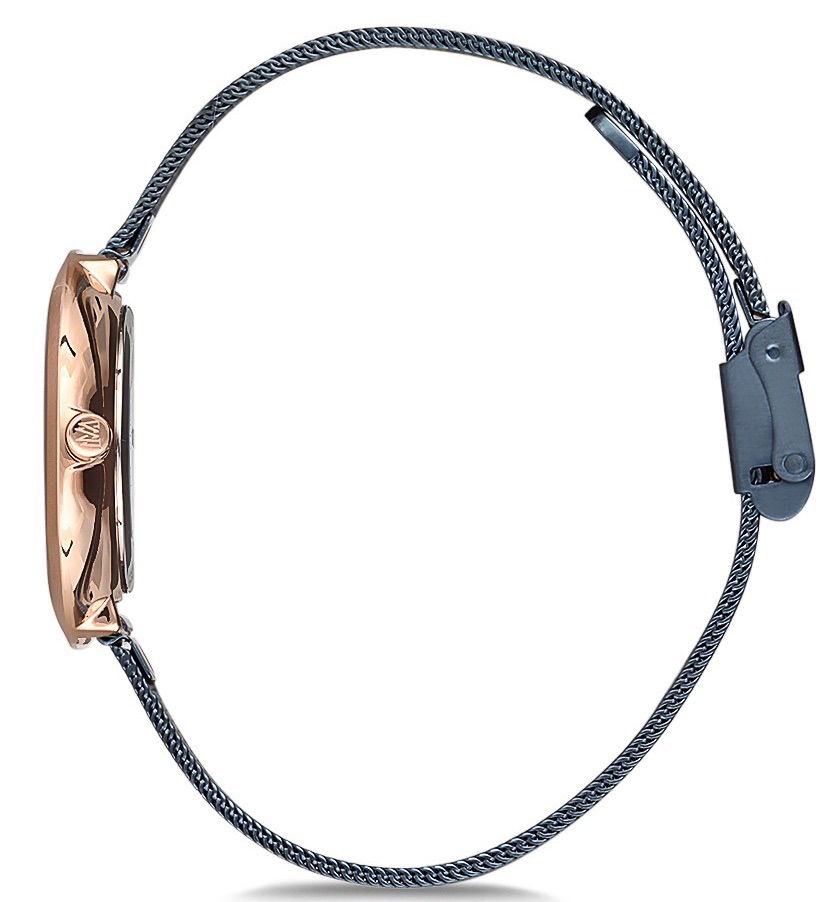 Momentus Cw102r-11sr Bayan Kol Saati