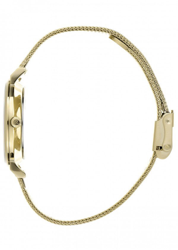 Momentus Cw251g-02sg Bayan Kol Saati