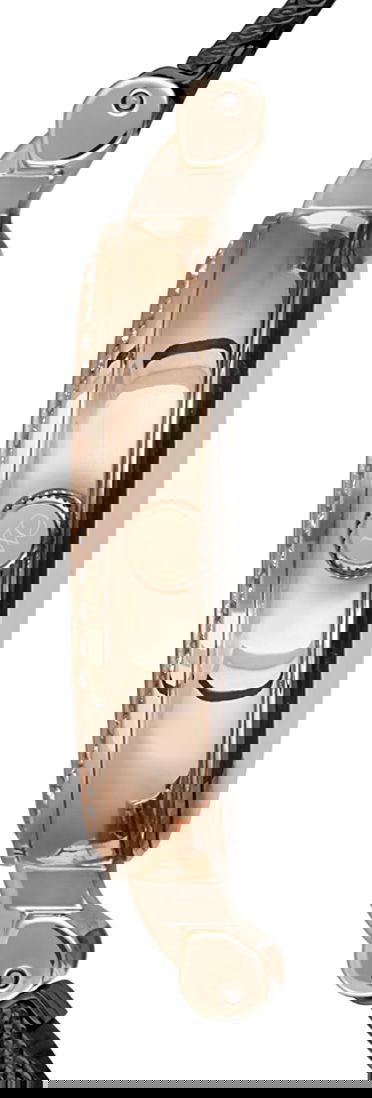 Wesse Wwl102204 Bayan Kol Saati