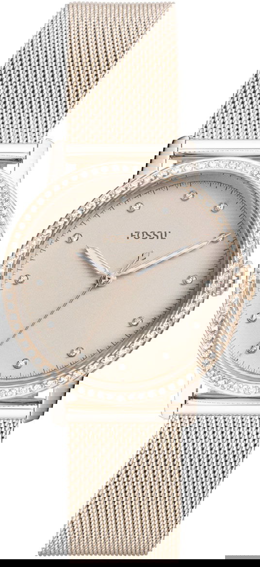 Fossil Fes4364 Bayan Kol Saati