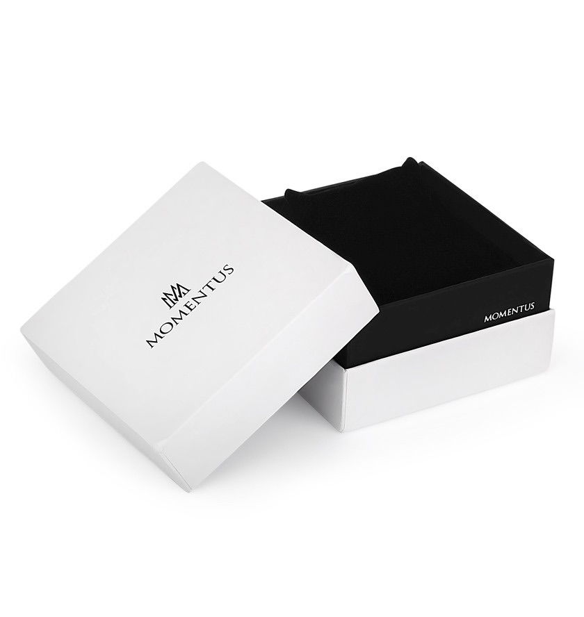 Momentus Erkek Kol Saati CC114N-11SN