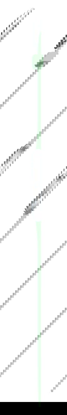 Swatch SYXS125 Skin Aloe Kadın Kol Saati