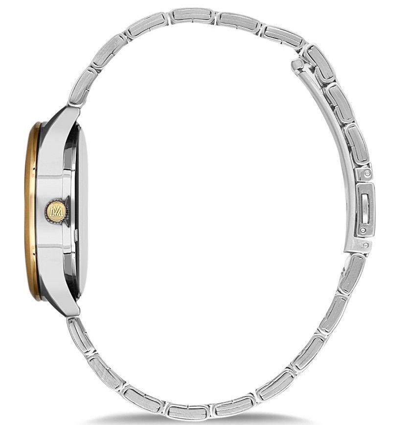 Momentus Cw231t-02sg Bayan Kol Saati