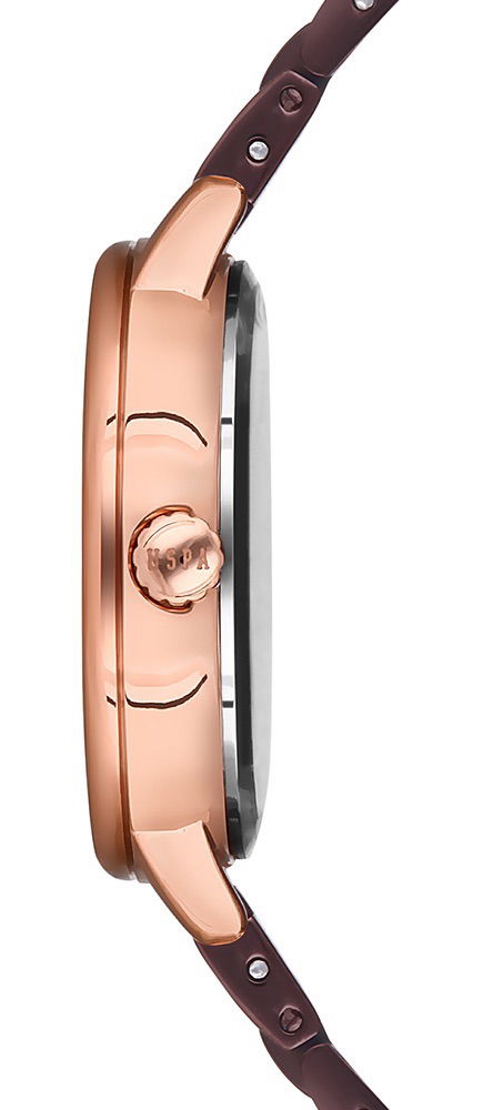 U.s. Polo Assn. Uspa2013-03 Bayan Kol Saati