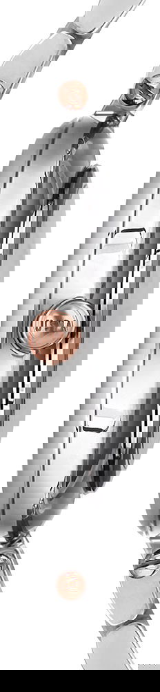 U.s. Polo Assn. Bayan Kol Saati USPA2000-01