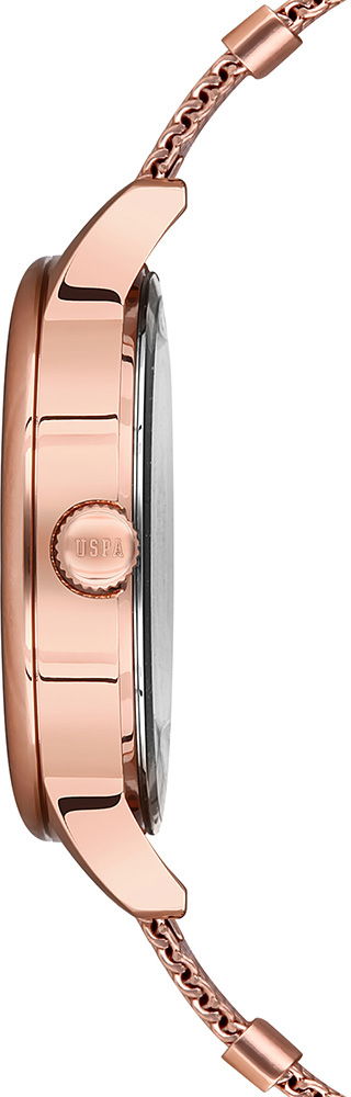 U.s. Polo Assn. Bayan Kol Saati USPA2010-01