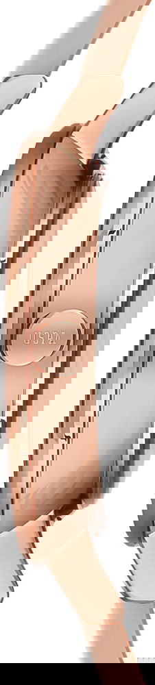 U.s. Polo Assn. Uspa2020-02 Bayan Kol Saati