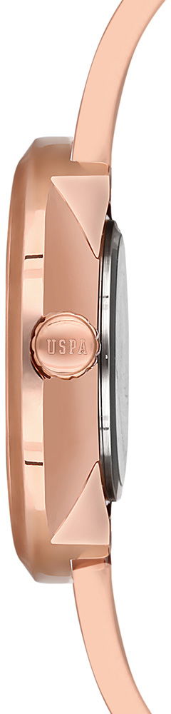 U.s. Polo Assn. Bayan Kol Saati USPA2001-04