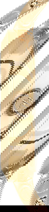 Wesse Bayan Kol Saati WWL300203MA