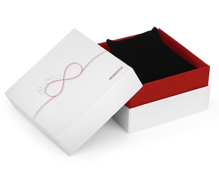 Momentus Sw283s-02ss Bayan Kol Saati