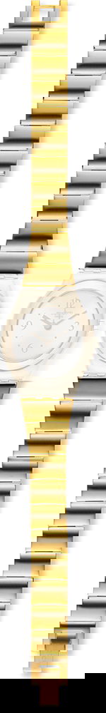 Swatch Bant Aysg134g Kordon