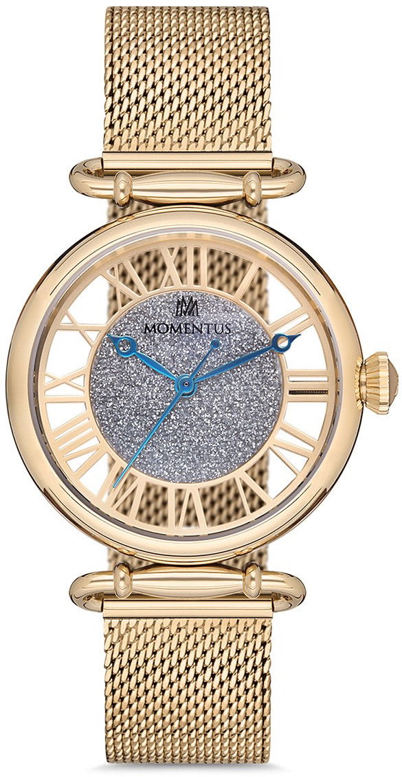 Momentus Cw280g-16sg Bayan Kol Saati