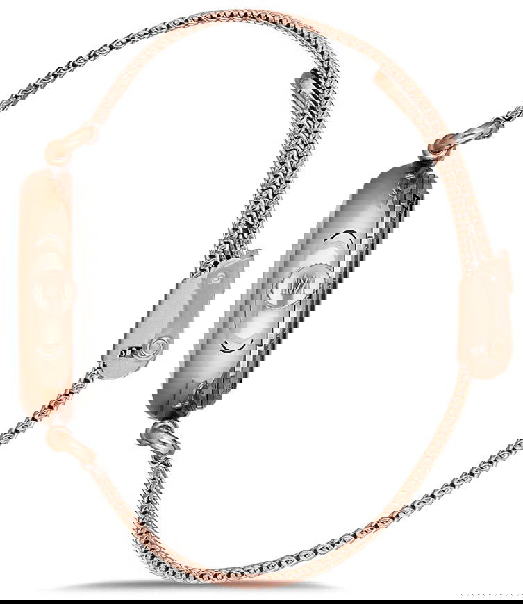 Momentus Cw280r-12sr Bayan Kol Saati