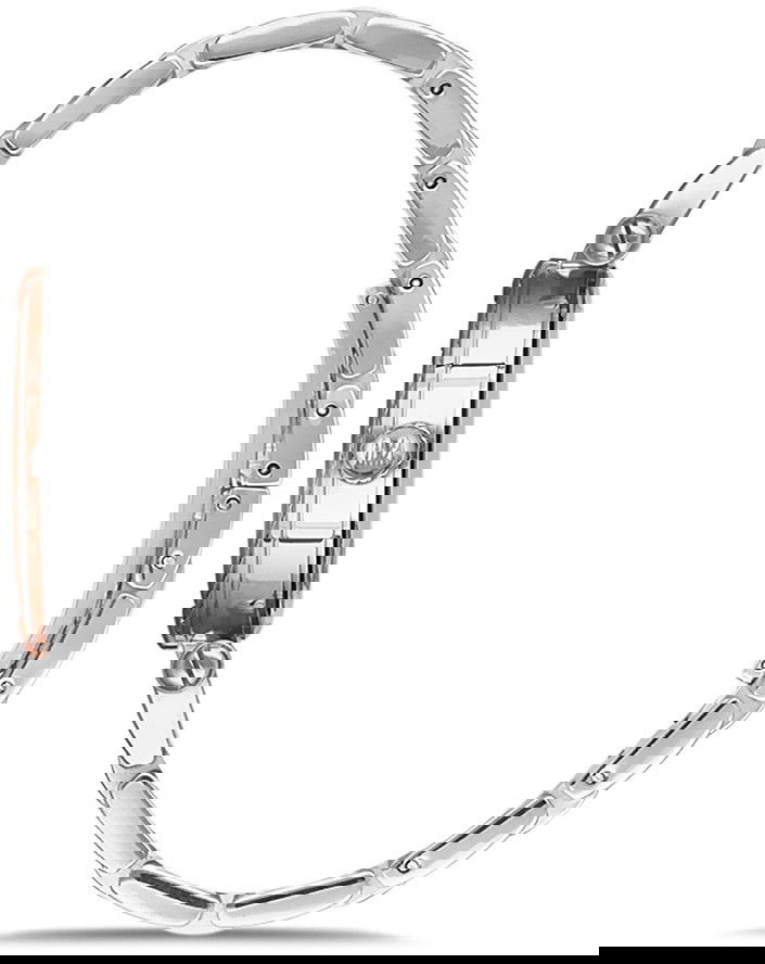 Momentus Cs376t-05sr Bayan Kol Saati