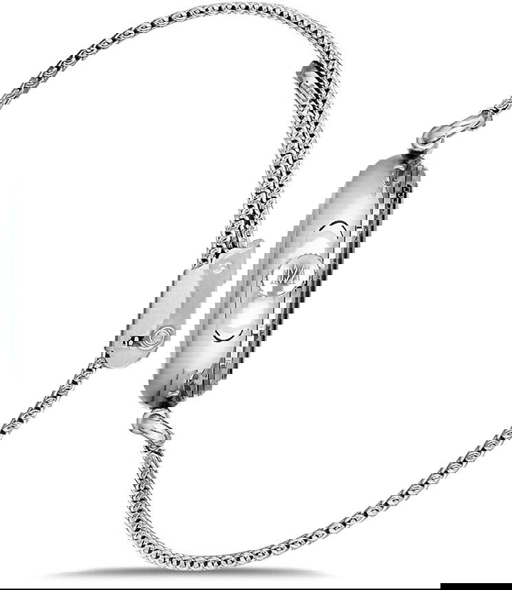 Momentus Cw280s-16ss Bayan Kol Saati