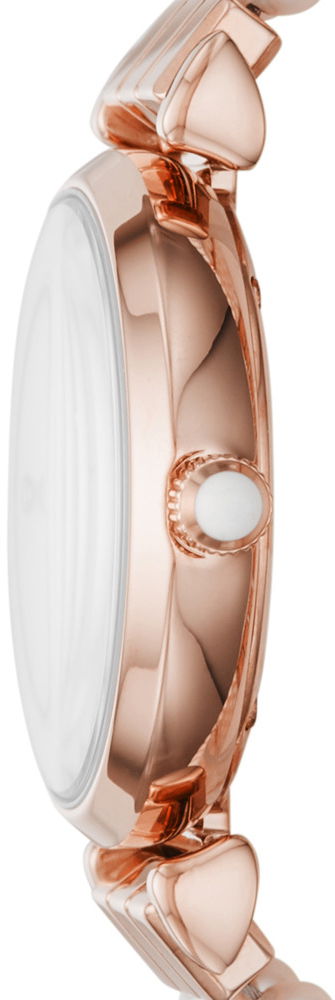 Emporio Armani Ar11317 Bayan Kol Saati