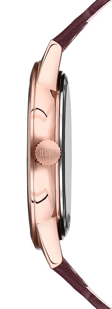 U.s. Polo Assn. Uspa1005-05 Erkek Kol Saati