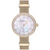 cerruti-crm27001-1.jpg