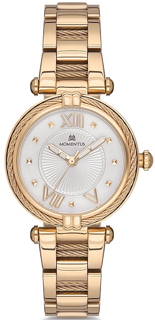 Momentus Cs376g-02sg Bayan Kol Saati