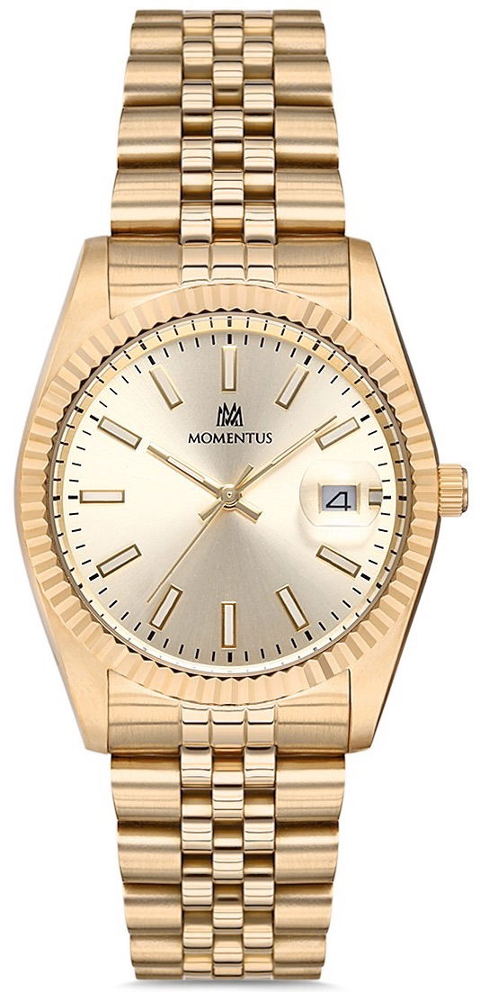 Momentus Cw131g-08sg Bayan Kol Saati