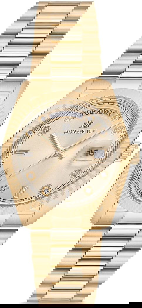 Momentus Cw134g-08sg Bayan Kol Saati