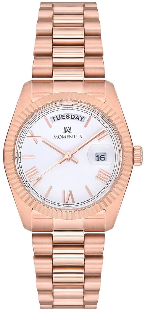 Momentus Cw134r-01sr Bayan Kol Saati