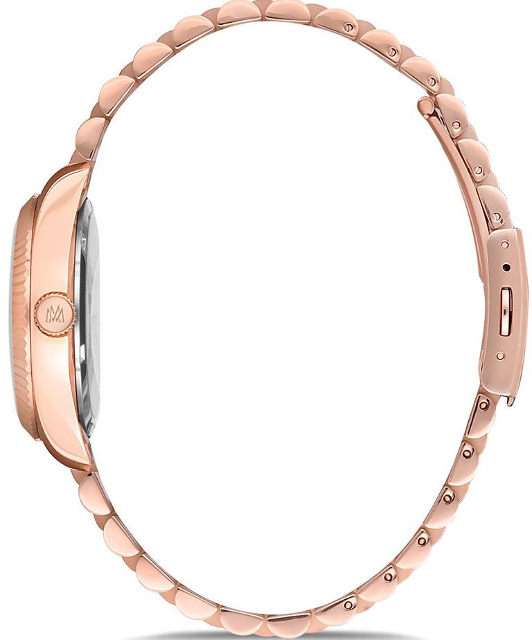 Momentus Cw134r-01sr Bayan Kol Saati