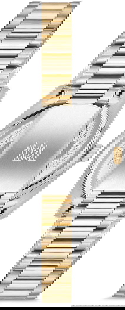 Momentus Cw134t-01sg Bayan Kol Saati