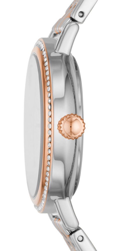 Fossil Fbq3686 Bayan Kol Saati