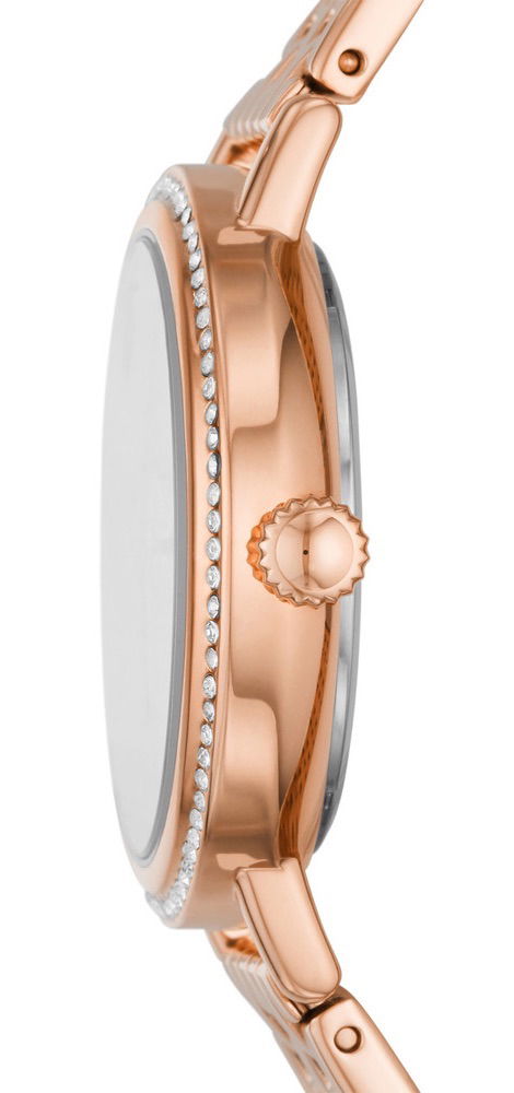 Fossil Fbq3688 Bayan Kol Saati