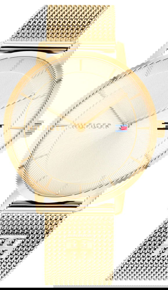 Tommy Hilfiger Th1782286 Kadın Kol Saati