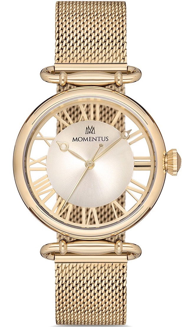 Momentus Cw280g-08sg Bayan Kol Saati