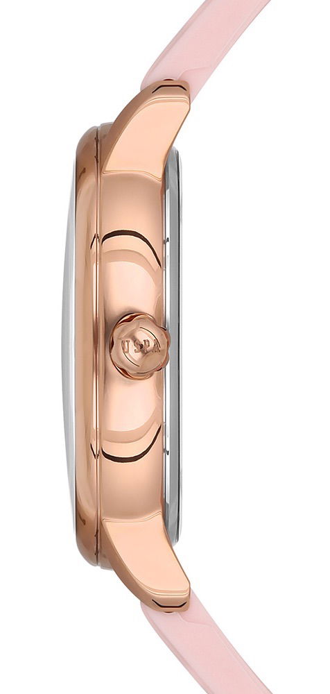 U.s. Polo Assn. Uspa2031-05 Bayan Kol Saati