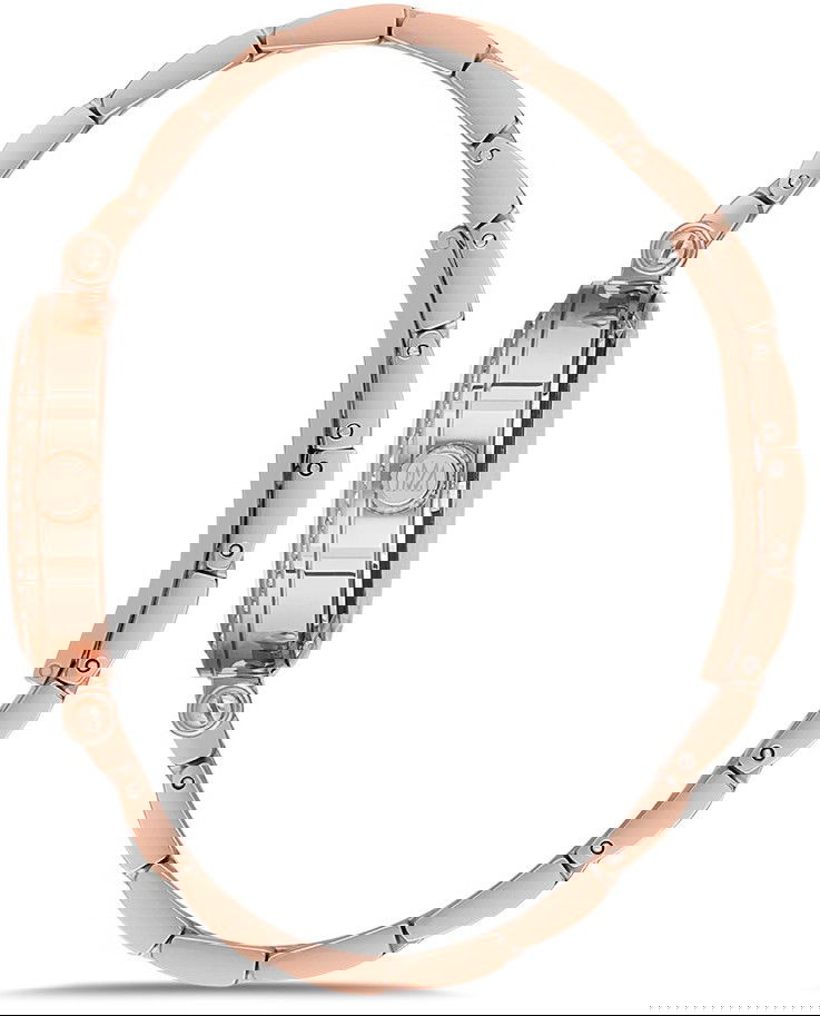 Momentus Ss239r-09sr Bayan Kol Saati