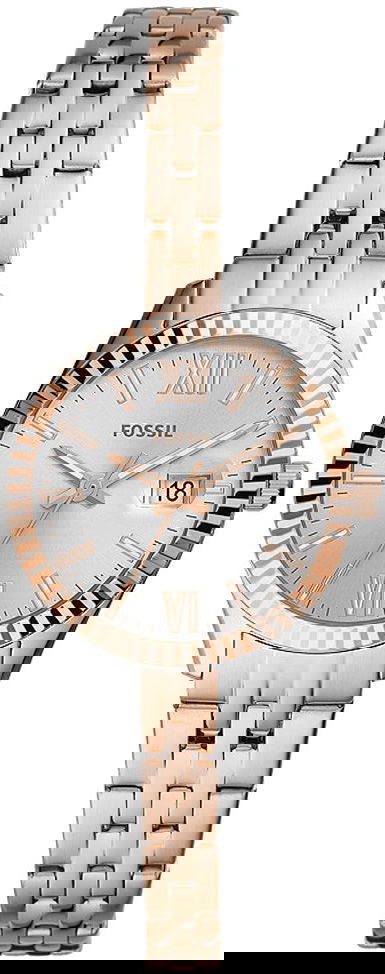Fossil Fes4989 Bayan Kol Saati