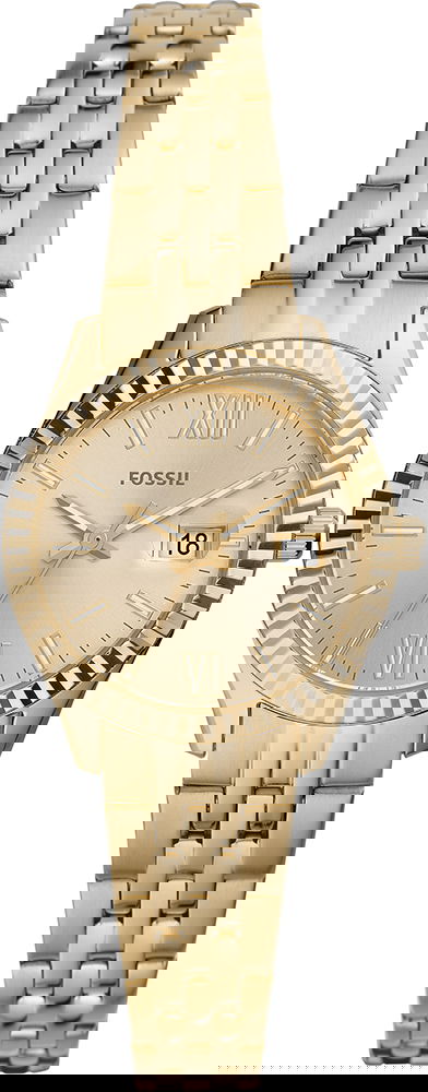 Fossil Fes4993 Bayan Kol Saati