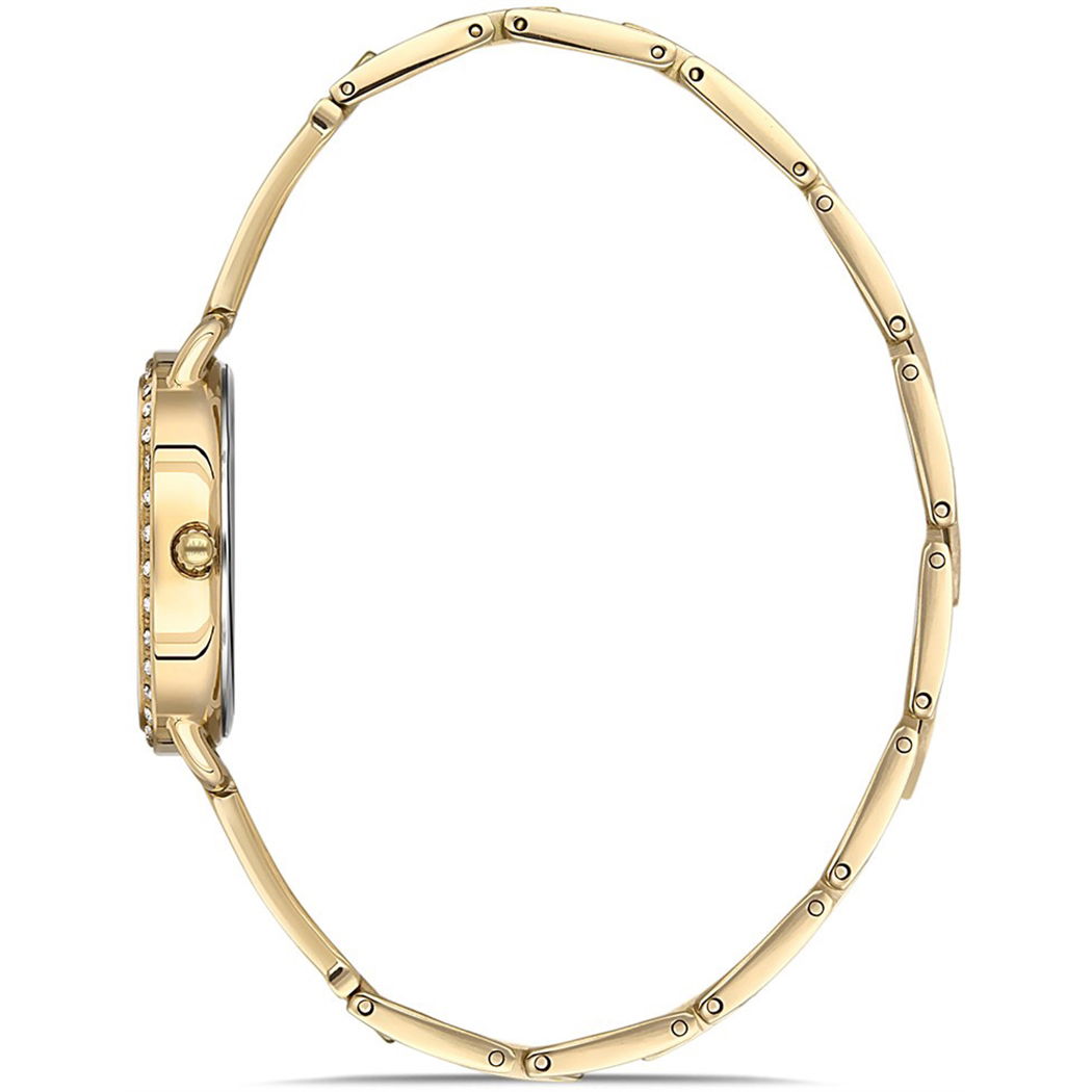 Momentus Sw260g-08sg Bayan Kol Saati