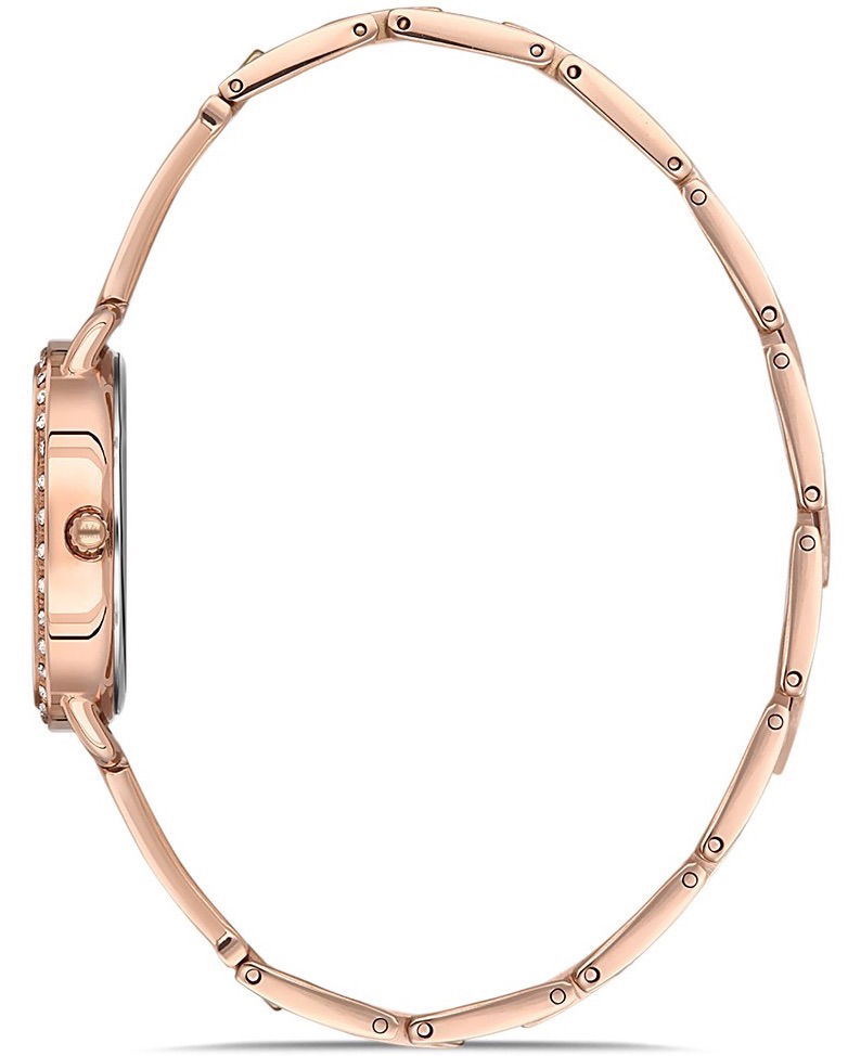 Momentus Sw260r-12sr Bayan Kol Saati