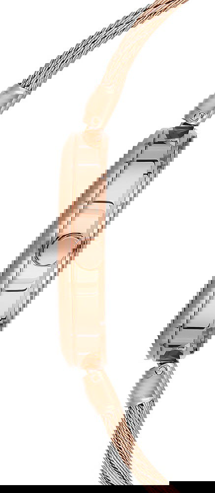 U.s. Polo Assn. Uspa2029-06 Bayan Kol Saati