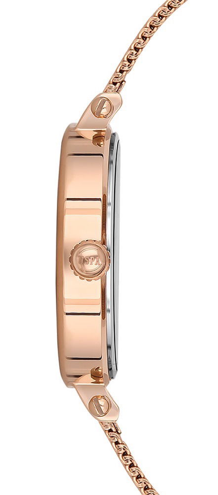 U.s. Polo Assn. Uspa2034-03 Bayan Kol Saati
